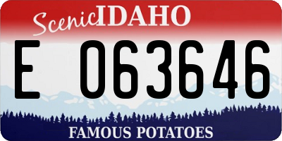 ID license plate E063646