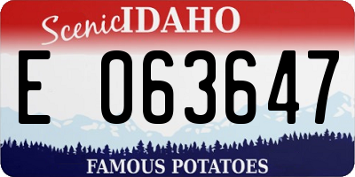 ID license plate E063647