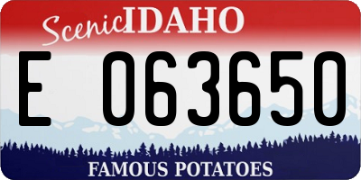 ID license plate E063650