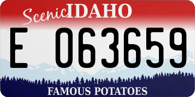 ID license plate E063659