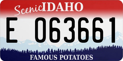 ID license plate E063661