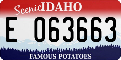 ID license plate E063663