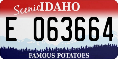 ID license plate E063664