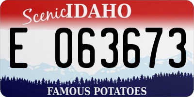 ID license plate E063673