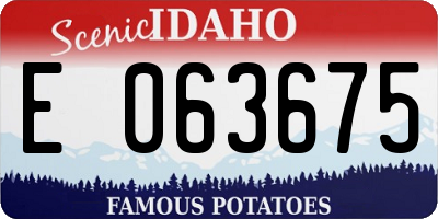 ID license plate E063675