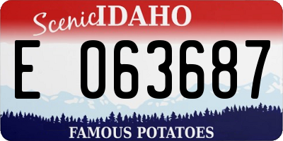 ID license plate E063687