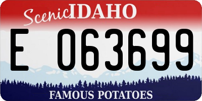 ID license plate E063699