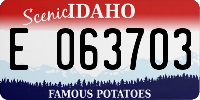 ID license plate E063703