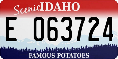 ID license plate E063724