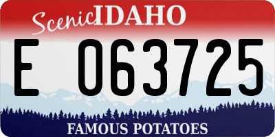 ID license plate E063725