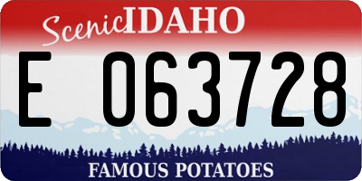 ID license plate E063728