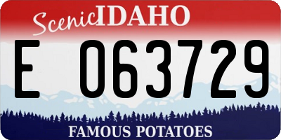 ID license plate E063729
