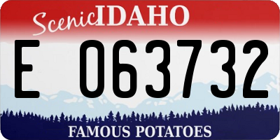 ID license plate E063732