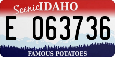 ID license plate E063736