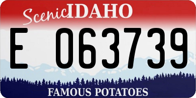ID license plate E063739