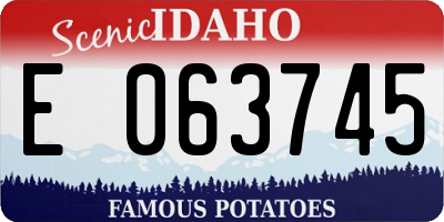 ID license plate E063745