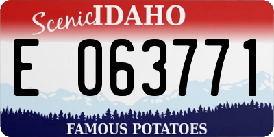 ID license plate E063771