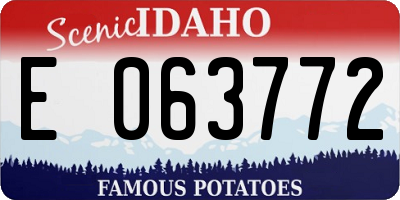 ID license plate E063772