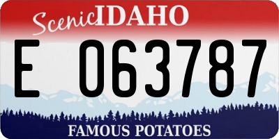 ID license plate E063787