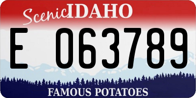ID license plate E063789