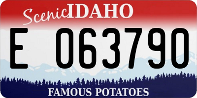 ID license plate E063790
