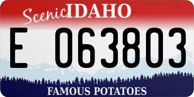 ID license plate E063803