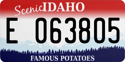 ID license plate E063805
