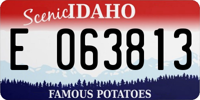 ID license plate E063813