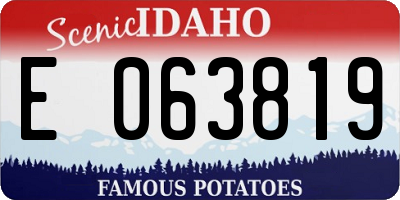 ID license plate E063819