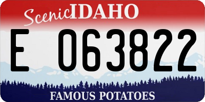 ID license plate E063822