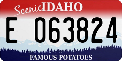 ID license plate E063824