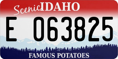 ID license plate E063825