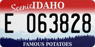 ID license plate E063828