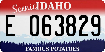 ID license plate E063829