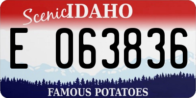 ID license plate E063836