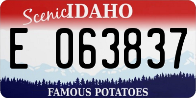 ID license plate E063837