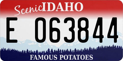 ID license plate E063844