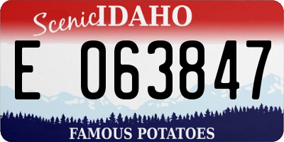 ID license plate E063847