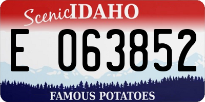 ID license plate E063852
