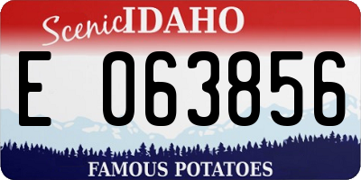 ID license plate E063856