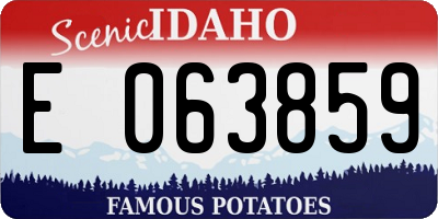 ID license plate E063859