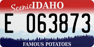 ID license plate E063873