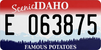ID license plate E063875