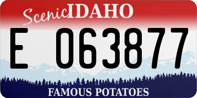 ID license plate E063877