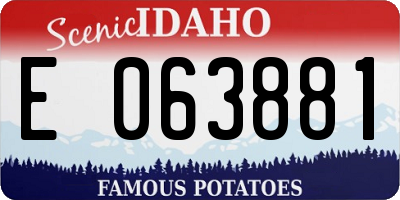 ID license plate E063881