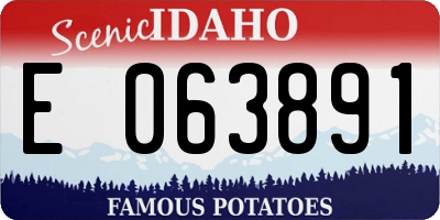 ID license plate E063891