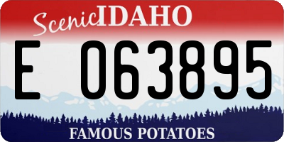 ID license plate E063895