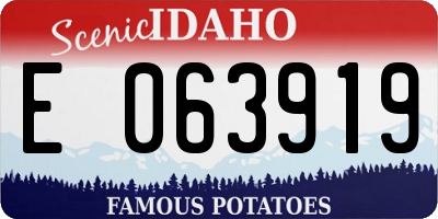 ID license plate E063919