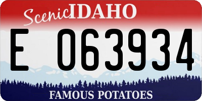ID license plate E063934