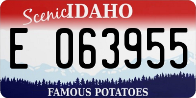 ID license plate E063955